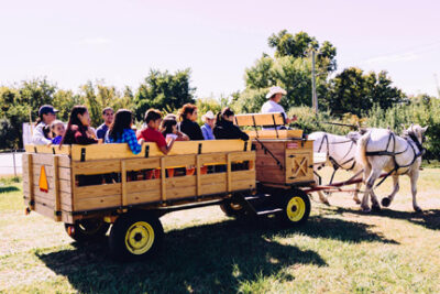 Hay rides, sleigh rides, and carriage rentals for parties and events